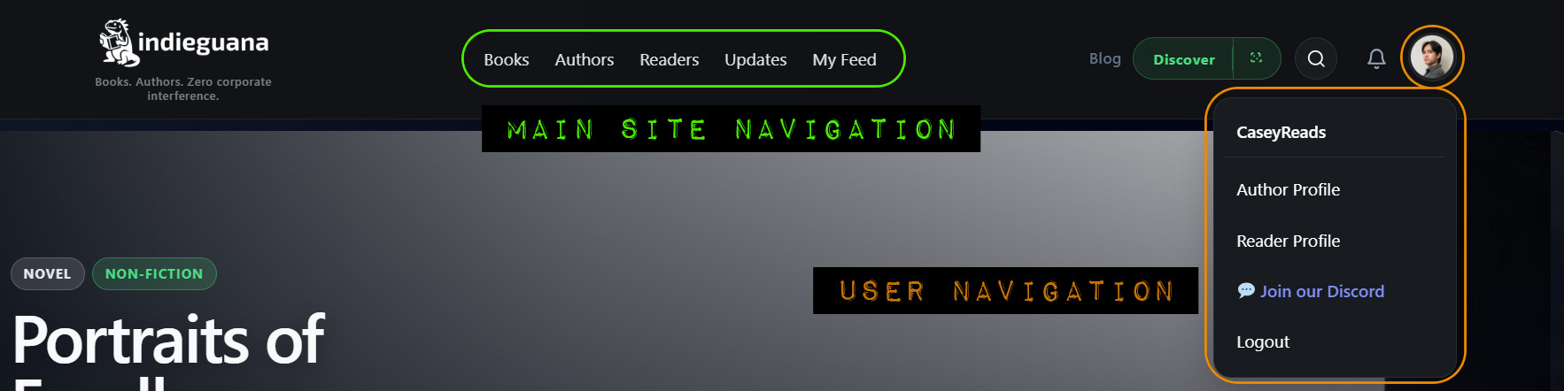 indieguana help indie books